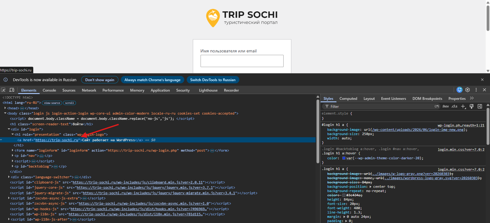 Дефолтная ссылка на WordPress